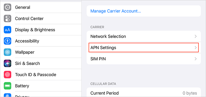 For Personal Hotspot, set up APN (Access Point Name)