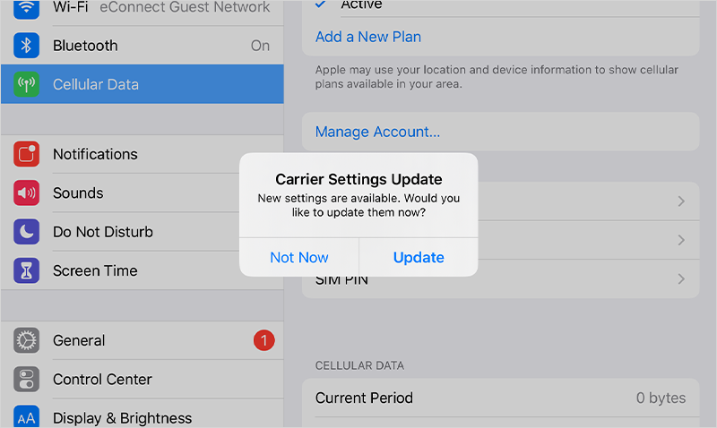 Tap <span class='ts-italic'>Update</span> on Carrier Settings Update