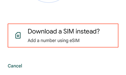 Tap “Download a SIM instead?”