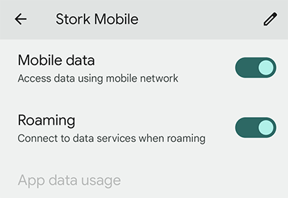 Enable both “Mobile data” and “Roaming”